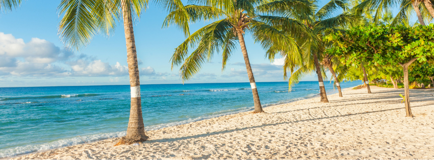 Read our latest global insights