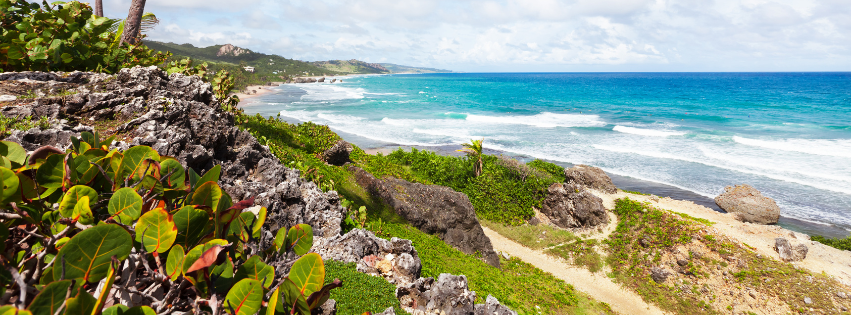 Read our latest global insights