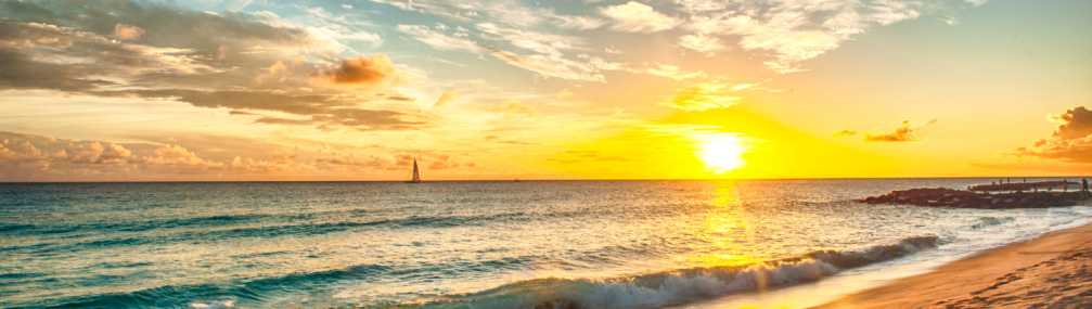 Read our latest global insights